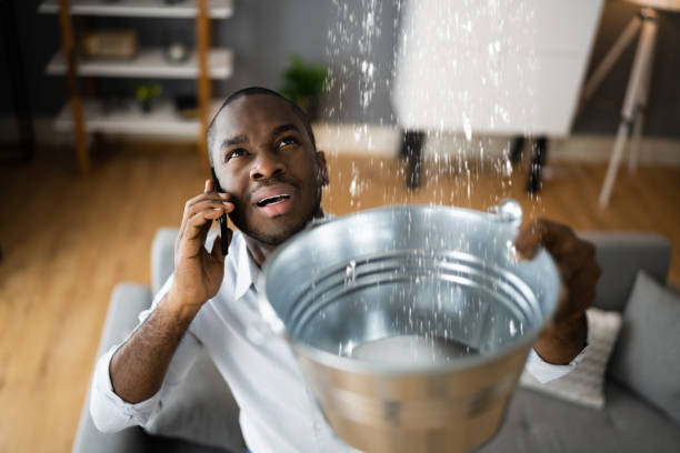 Best 24-hour water damage restoration  in Hamilton, OH