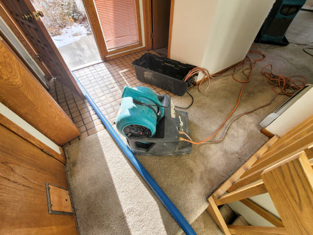  Hamilton, OH Water damage restoration Pros