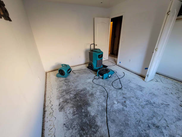 Best Ceiling water damage repair  in Hamilton, OH