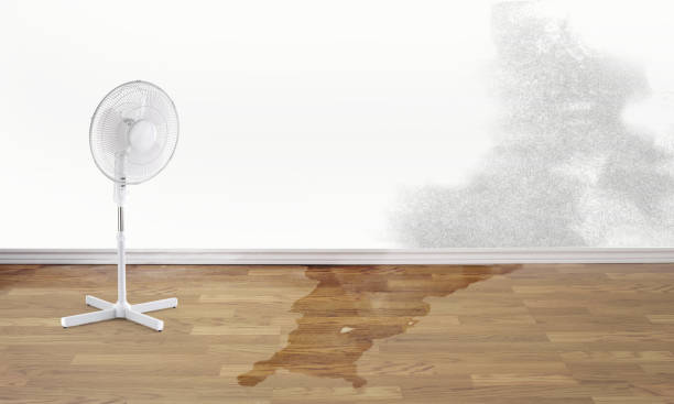 Best Water damage restoration services  in Hamilton, OH