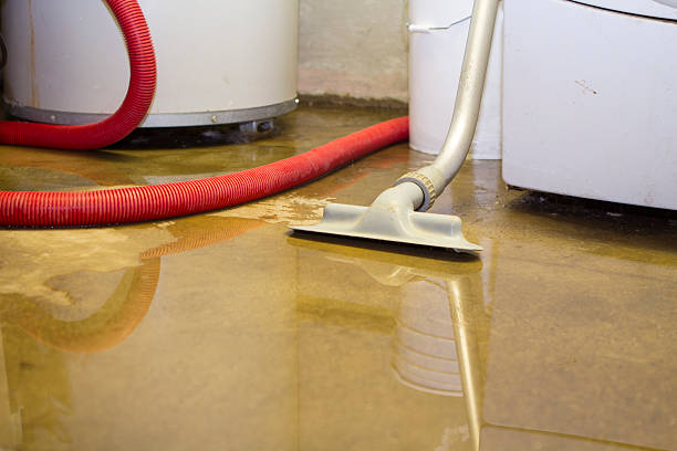 Best Sewage cleanup and water damage restoration  in Hamilton, OH