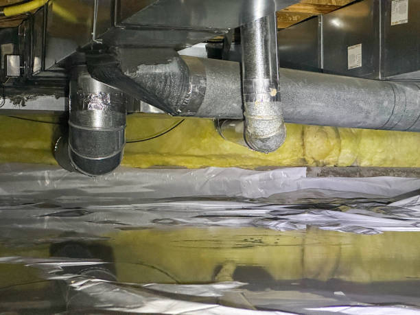Best Flood damage cleanup  in Hamilton, OH