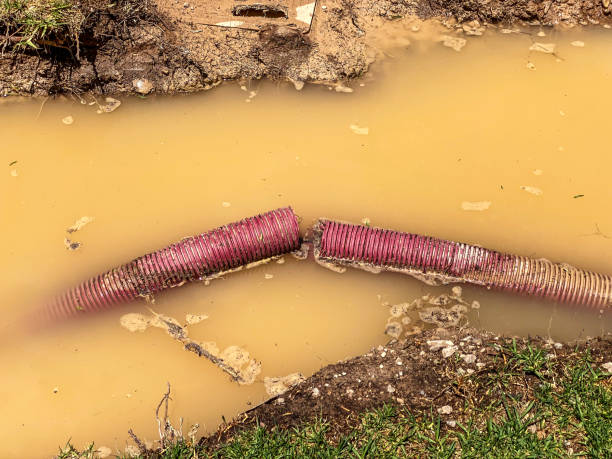 Best Water damage restoration near me  in Hamilton, OH