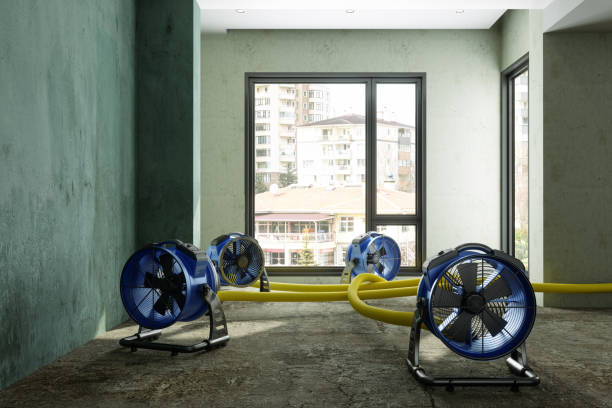 Best Emergency water damage restoration  in Hamilton, OH